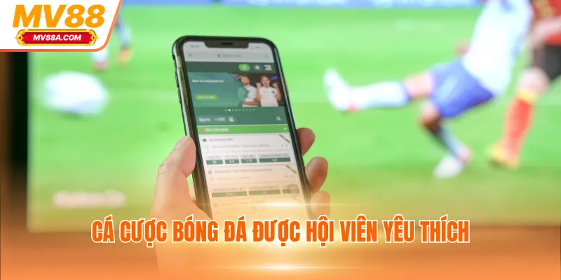 Cá cược bóng đá được hội viên yêu thích