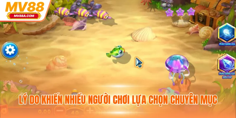 Lý do khiến nhiều người chơi lựa chọn chuyên mục