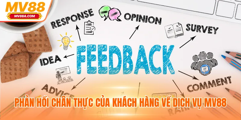 Phản hồi chân thực của khách hàng về dịch vụ MV88