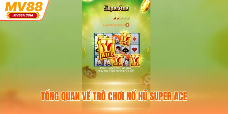 Tổng quan về trò chơi nổ hũ Super Ace