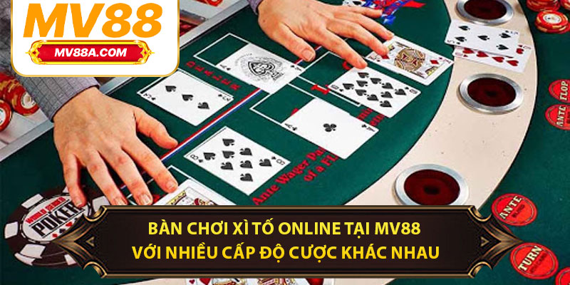 Bàn chơi xì tố online tại MV88 với nhiều cấp độ cược khác nhau